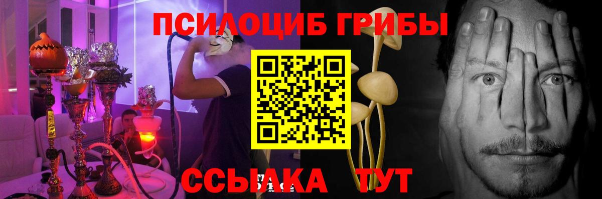 Алушта  купить закладку  Вход с VPN  Псилоцибиновые грибы мицелий 